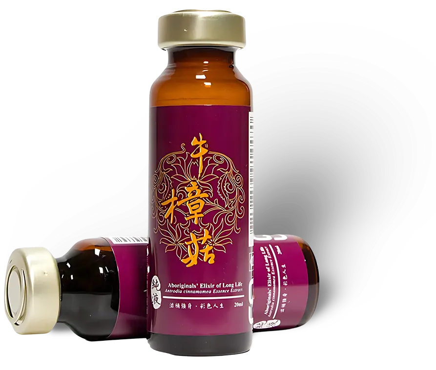 Antrodia cinnamomea history image